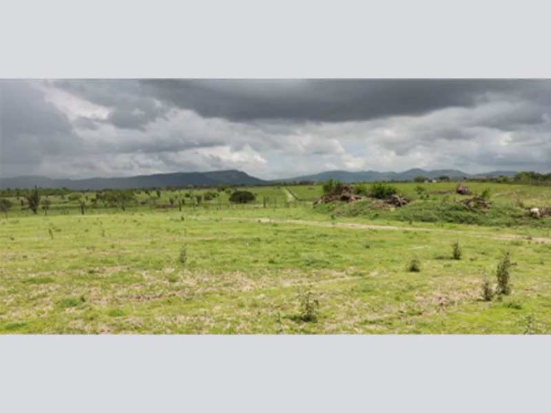 Terreno - Itatim - BA — foto 5