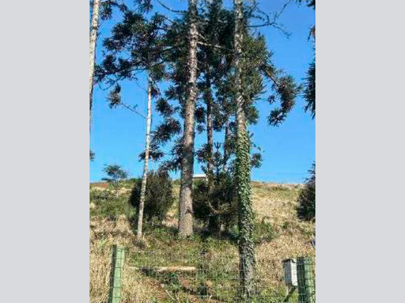 Terreno - Aratiba - RS — foto 2