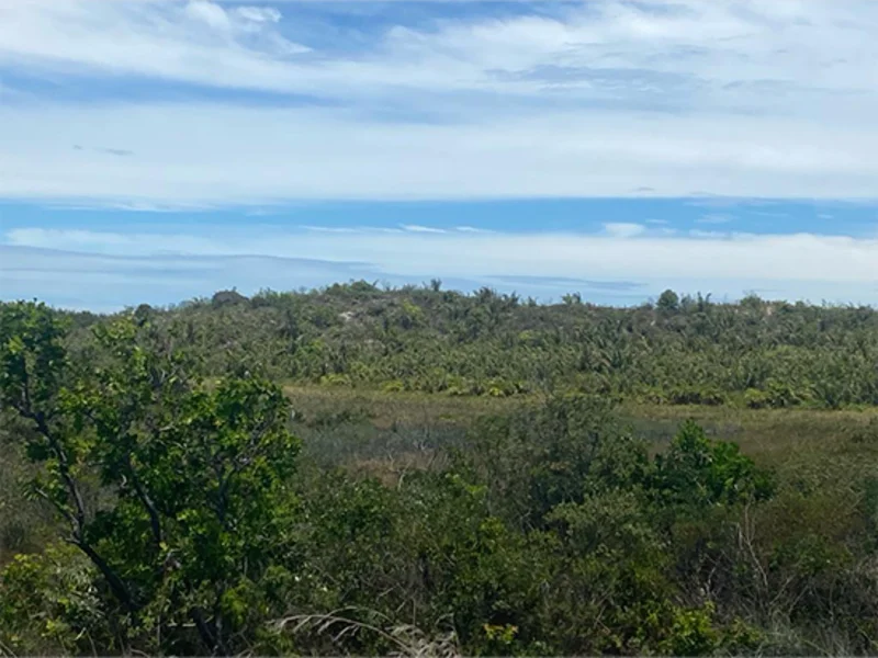Terreno - Itaporanga D'ajuda - SE — foto 2
