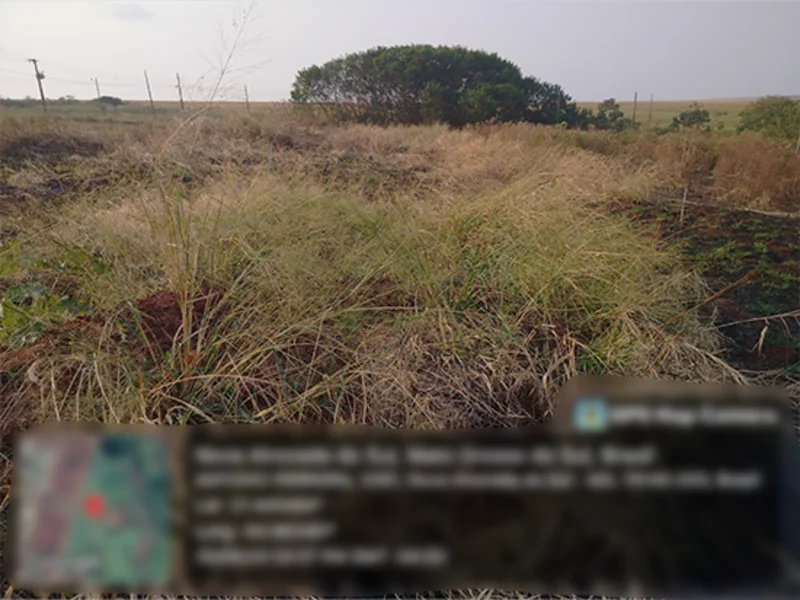 Terreno - Nova Alvorada do Sul - MS — foto 3