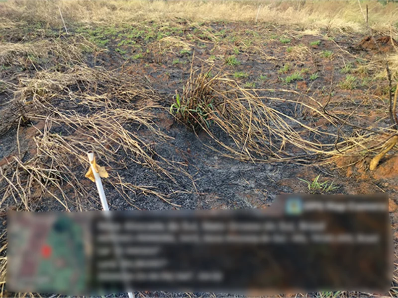 Terreno - Nova Alvorada do Sul - MS — foto 3