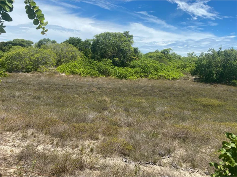 Terreno - Itaporanga D'ajuda - SE — foto 2