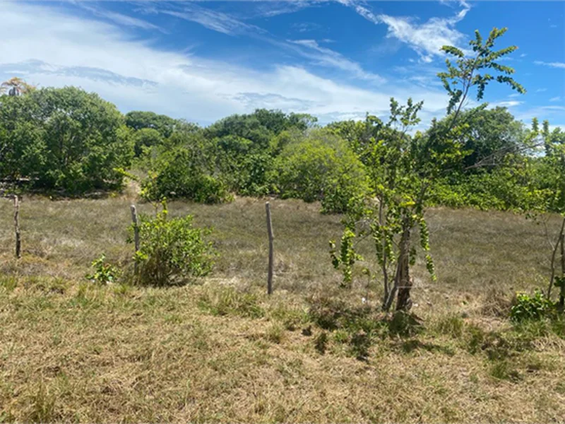 Terreno - Itaporanga D'ajuda - SE — foto 2