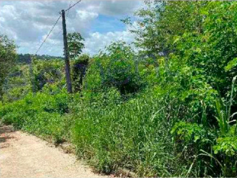 Terreno - São Lourenço da Mata - PE — foto 2