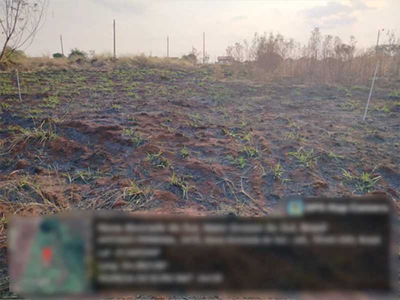 Terreno - Nova Alvorada do Sul - MS — foto 2