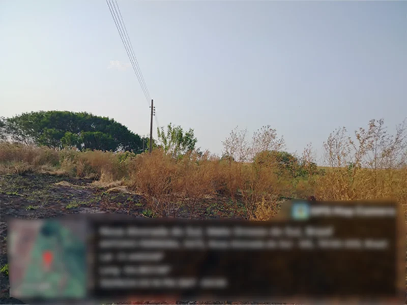 Terreno - Nova Alvorada do Sul - MS — foto 3
