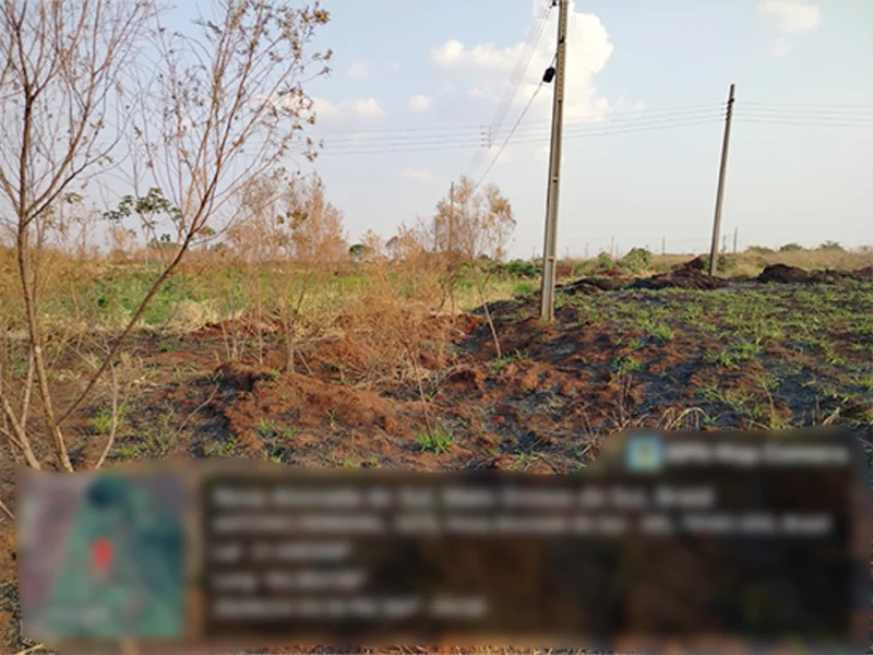 Terreno - Nova Alvorada do Sul - MS — foto 4