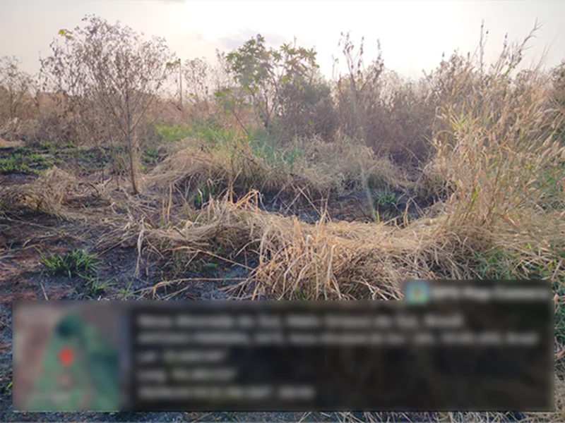 Terreno - Nova Alvorada do Sul - MS — foto 4