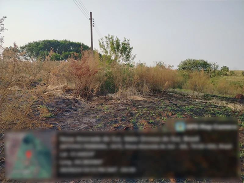 Terreno - Nova Alvorada do Sul - MS — foto 2