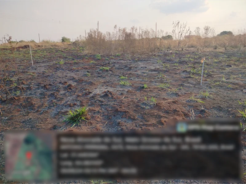 Terreno - Nova Alvorada do Sul - MS — foto 3