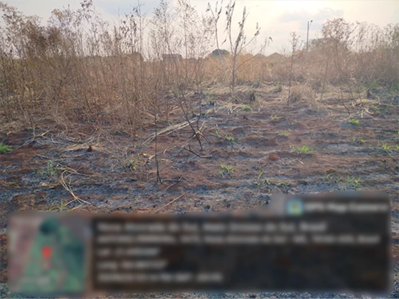Terreno - Nova Alvorada do Sul - MS — foto 4
