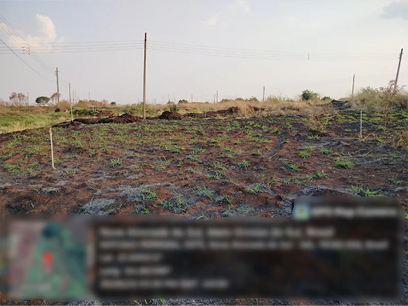 Terreno - Nova Alvorada do Sul - MS — foto 2