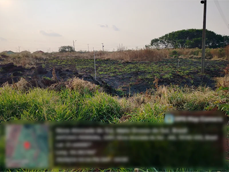 Terreno - Nova Alvorada do Sul - MS — foto 3