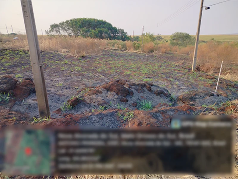 Terreno - Nova Alvorada do Sul - MS — foto 4