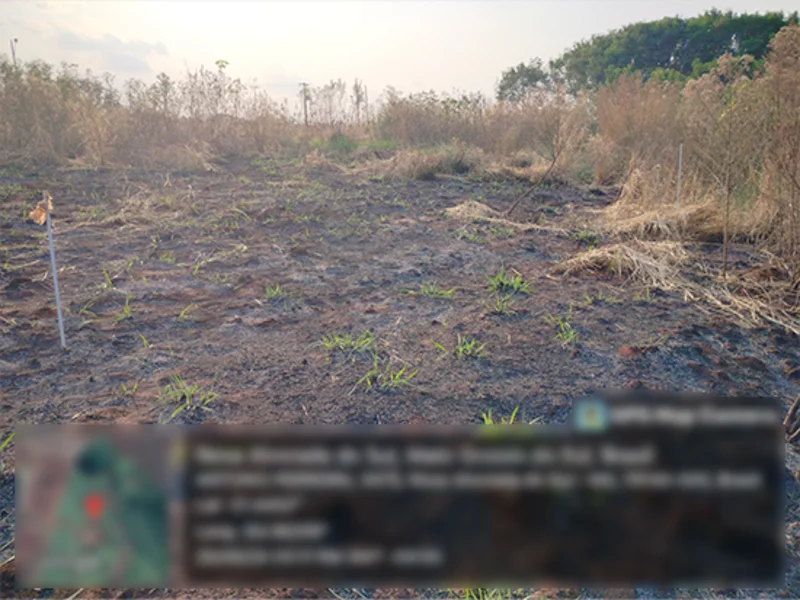 Terreno - Nova Alvorada do Sul - MS — foto 3