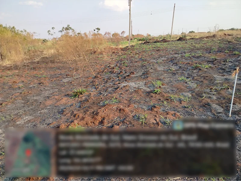 Terreno - Nova Alvorada do Sul - MS — foto 4