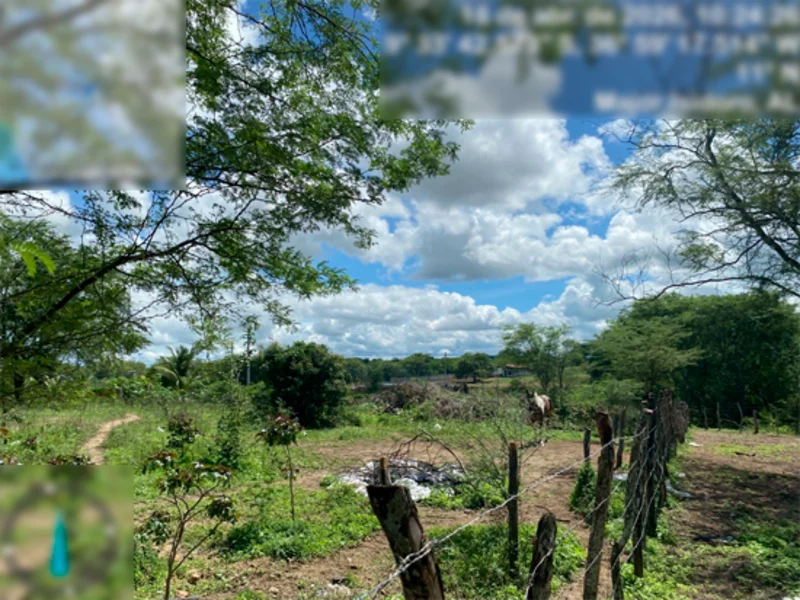 Terreno - Major Isidoro - AL — foto 3