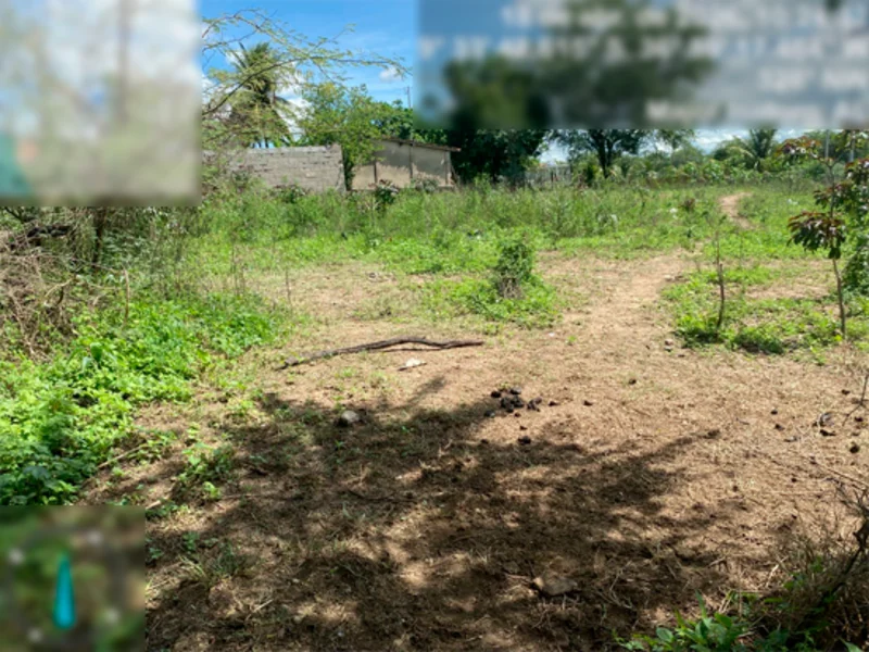 Terreno - Major Isidoro - AL — foto 4