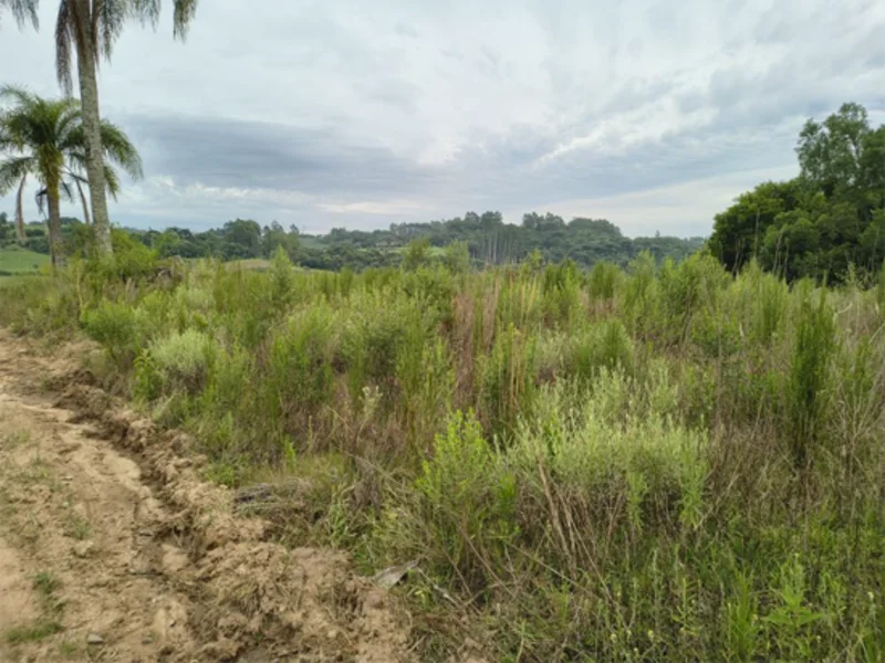 Fração de terra - Canguçu - RS — foto 2