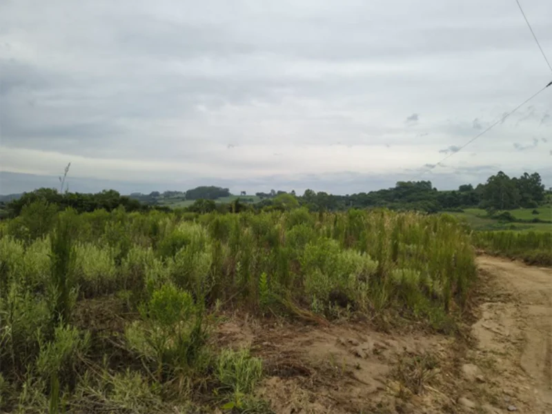 Fração de terra - Canguçu - RS — foto 5