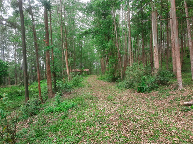 Terreno - Rio do Campo - SC — foto 2