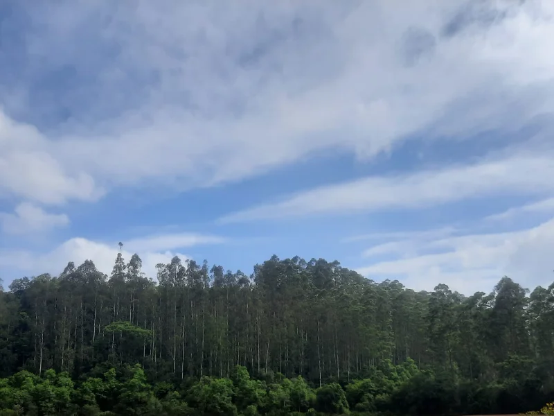 Terreno - Rio do Campo - SC — foto 2