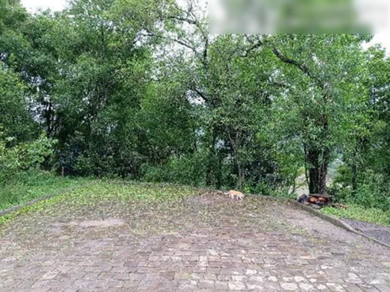 Terreno - Encantado - RS — foto 4