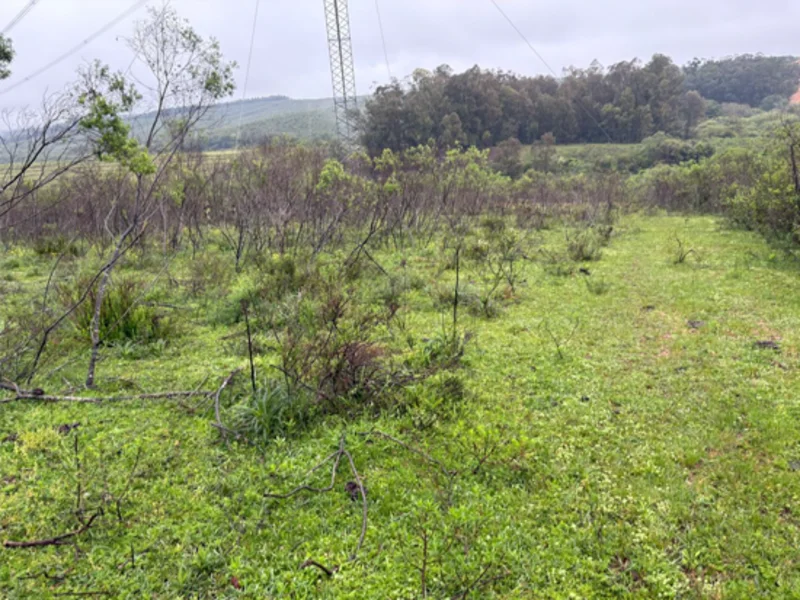 Casa - Eldorado do Sul - RS — foto 3