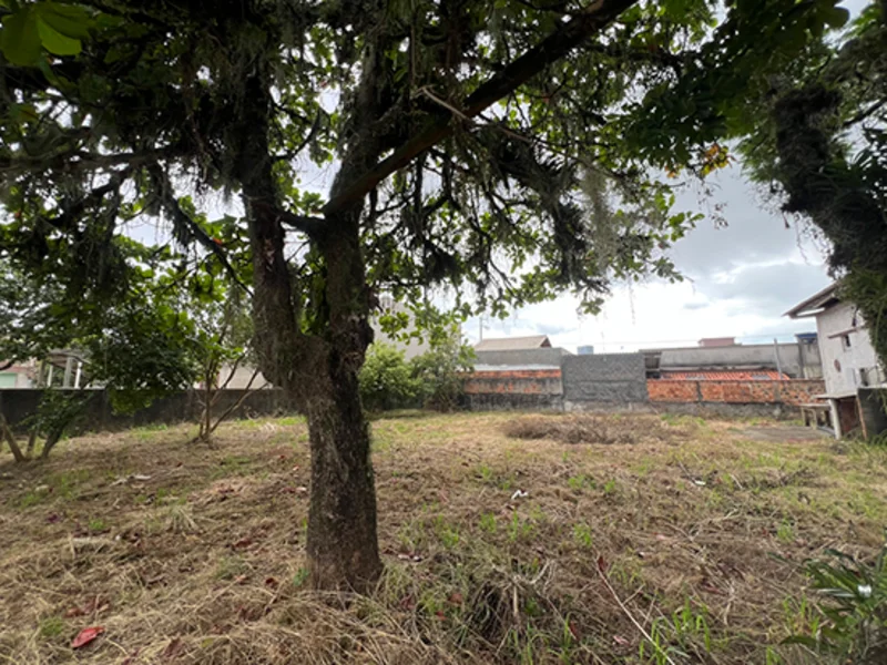 Terreno - Tijucas - SC — foto 2