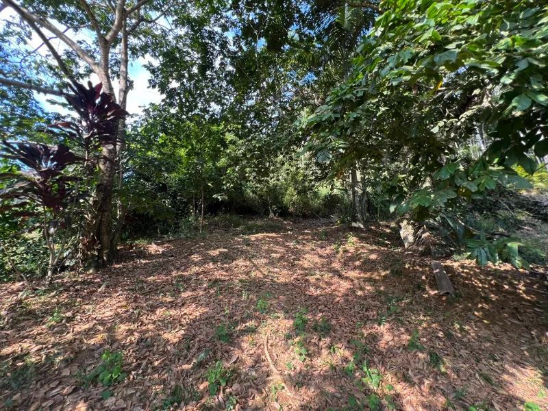 Terreno - Brusque - SC — foto 2