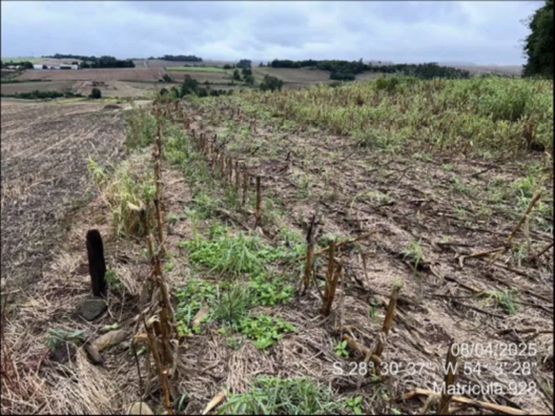 Fração de terra - Maçambara - RS — foto 2