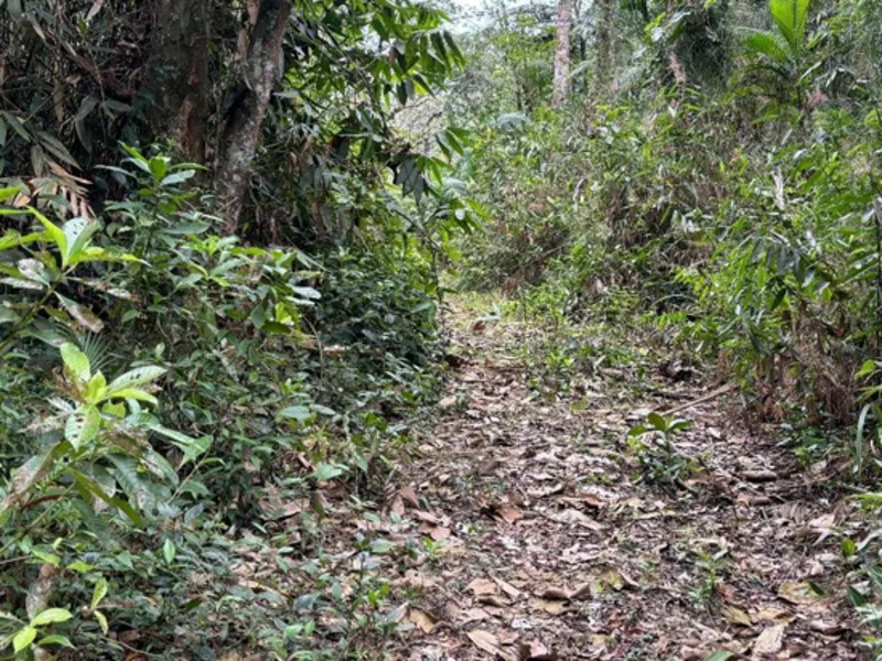 Terreno - Brusque - SC — foto 4