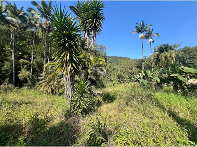 Terreno - Brusque - SC — foto 3