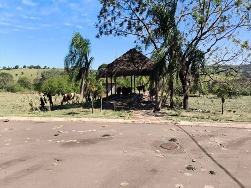 Loteamento - Pérola - PR — foto 4