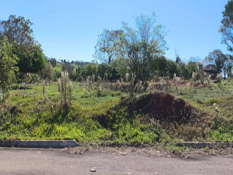 Loteamento - Pérola - PR — foto 5