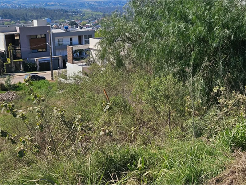 Terreno - Santana do Livramento - RS