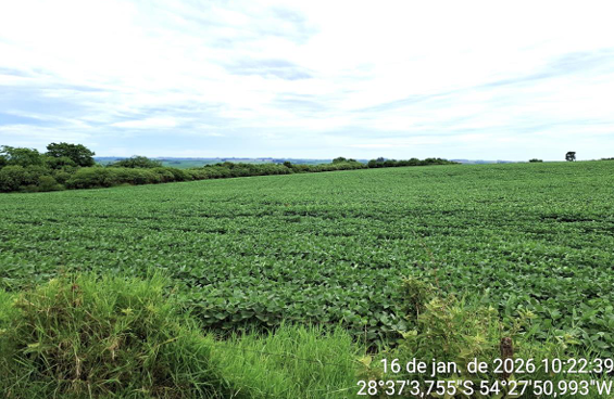 Área Rural C/ 13,70 Ha - São Miguel Das Missões / Rs