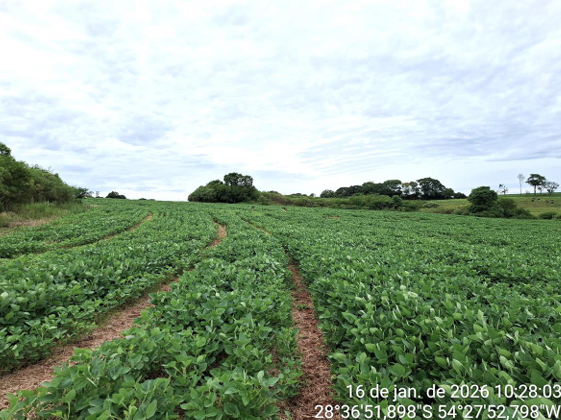 Área Rural C/ 13,70 Ha - São Miguel Das Missões / Rs — foto 3