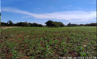Área Rural C/ 3 Ha - Garruchos / Rs