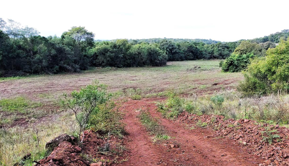 Área Rural C/ 10 Ha - Dezesseis De Novembro / Rs — foto 2
