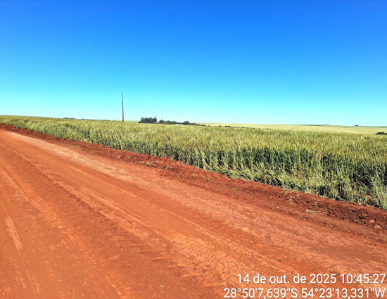Área Rural De 8,831250 Ha - São Miguel Das Missões / Rs — foto 2