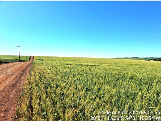 Área De Terra C/ 6 Ha - São Miguel Das Missões / Rs — foto 2