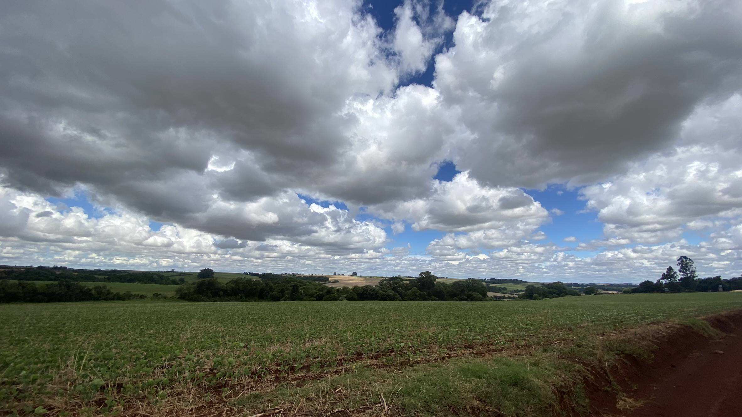 Área Rural C/ 3 Ha - Catuípe / Rs