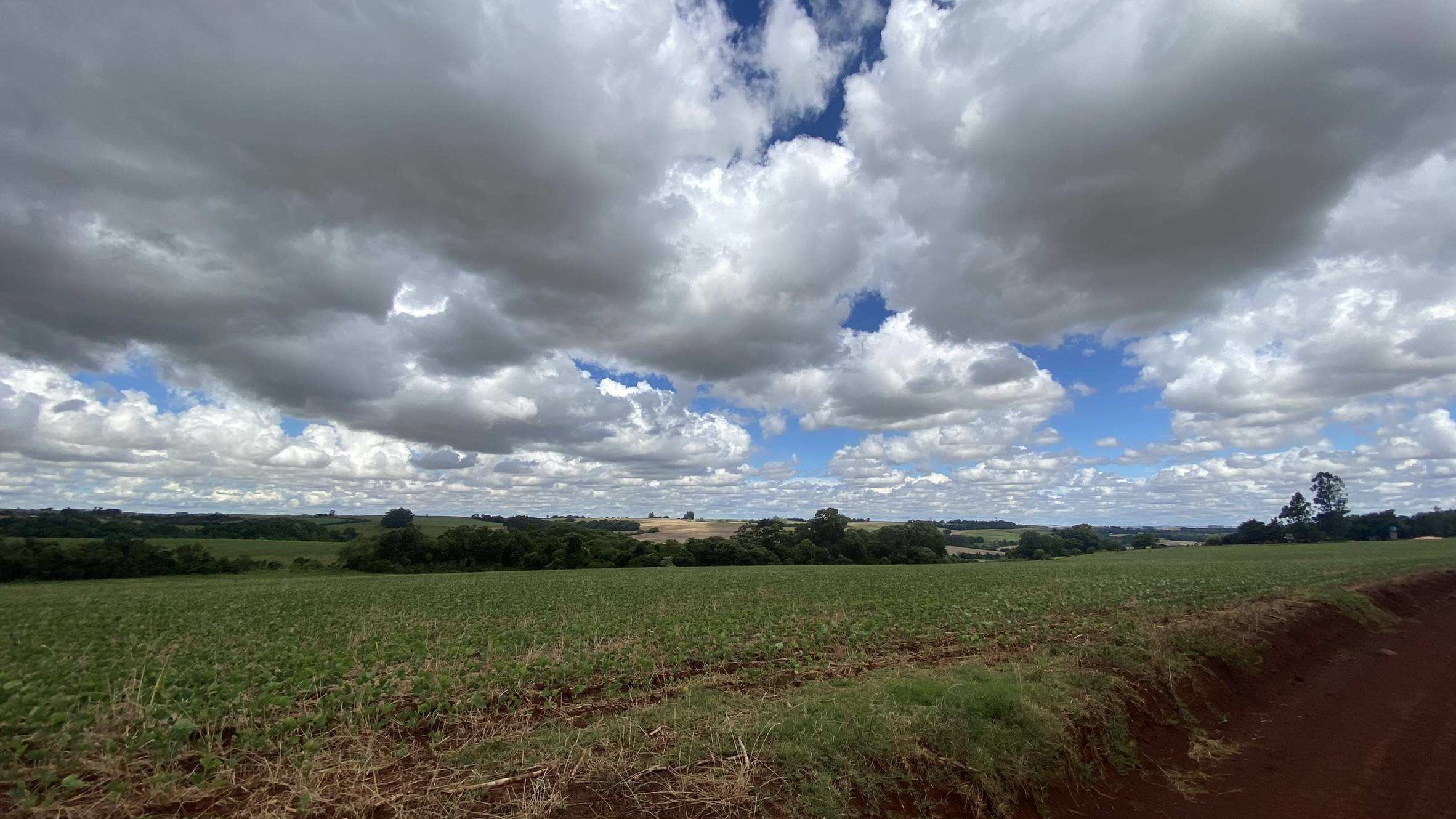 Área Rural C/ 3 Ha - Catuípe / Rs — foto 2