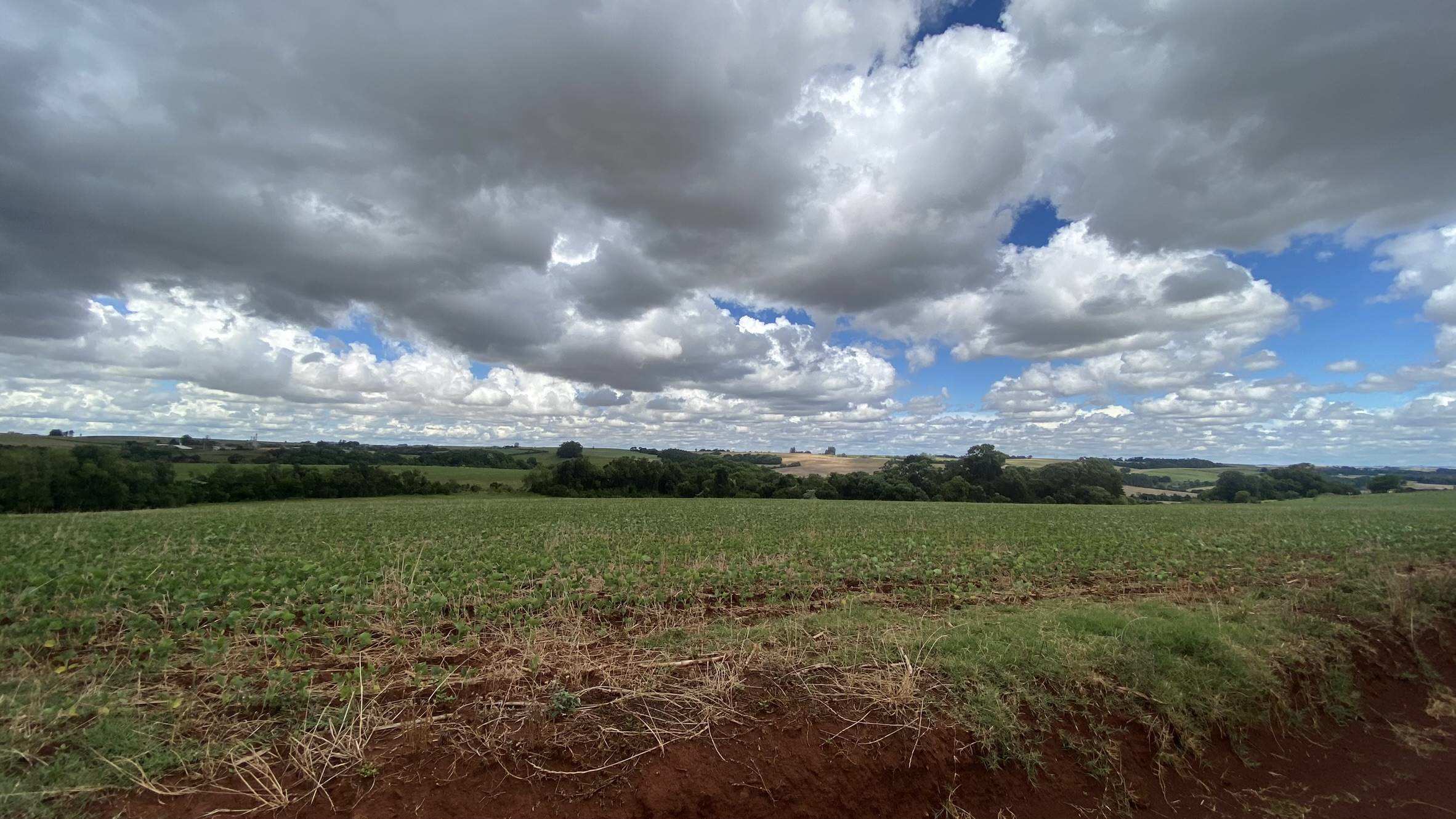 Área Rural C/ 3 Ha - Catuípe / Rs — foto 3