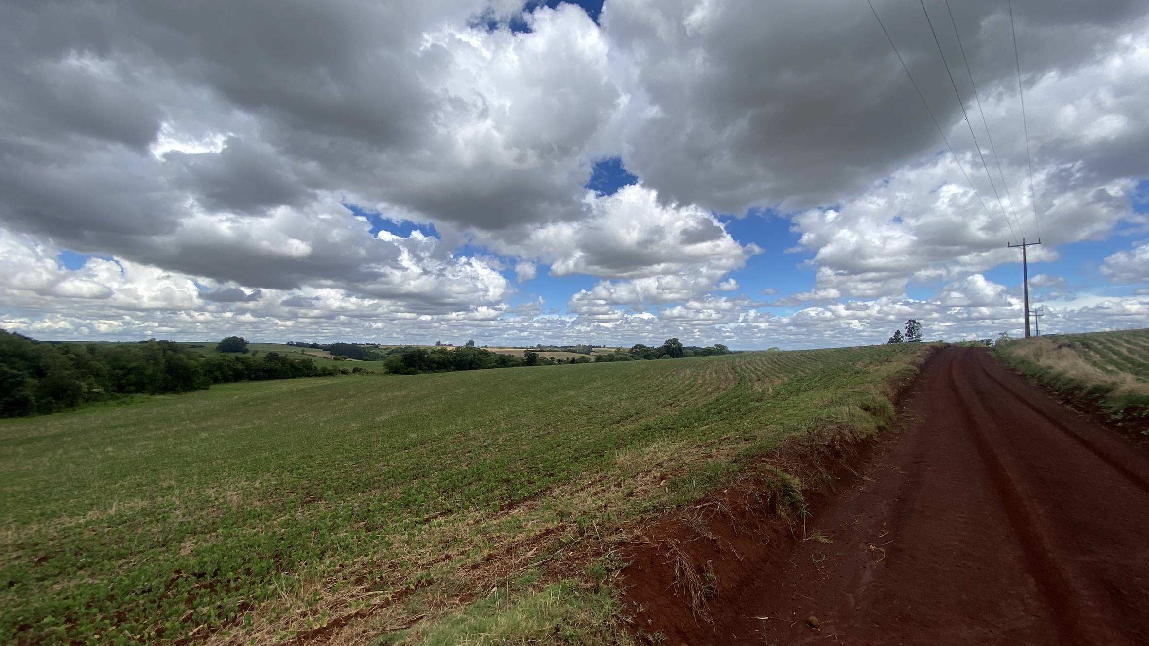 Área Rural C/ 3 Ha - Catuípe / Rs — foto 4