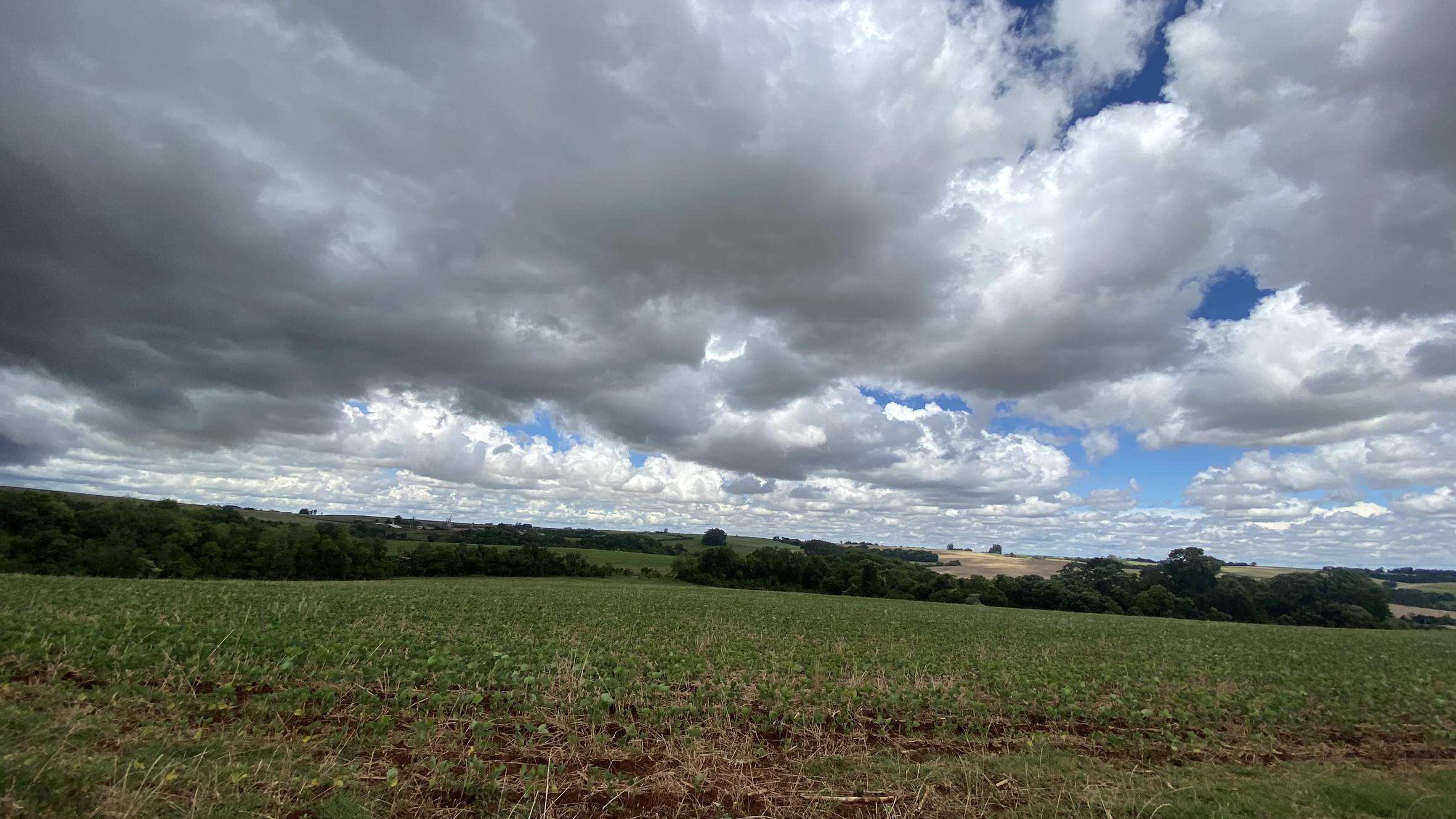 Área Rural C/ 3 Ha - Catuípe / Rs — foto 5