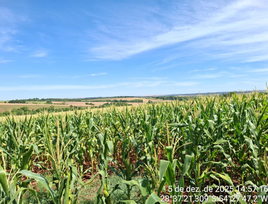 Área Rural 1,75 Ha - São Miguel Das Missões / Rs