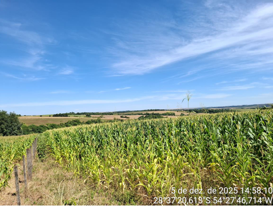 Área Rural 1,75 Ha - São Miguel Das Missões / Rs — foto 2