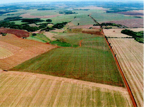 Área Rural C/ 25 Ha - Entre-ijuís / Rs